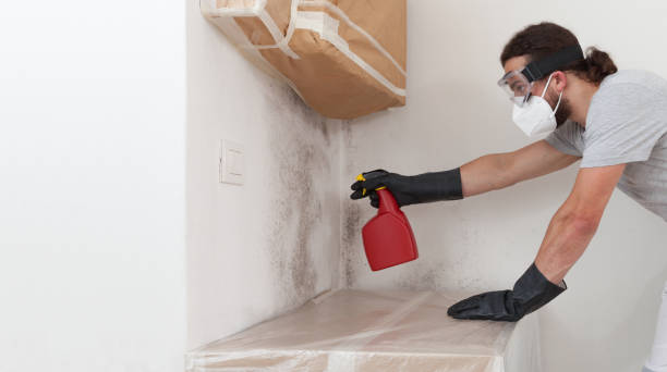 Professional Crawl Space Mold Remediation technician working in Franklin, NJ