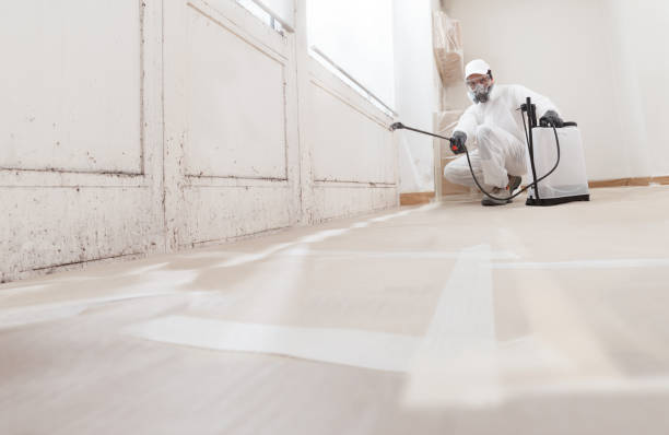 24/7 Emergency Crawl Space Mold Remediation experts in Franklin, NJ