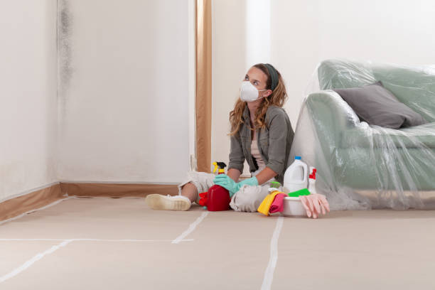 Reliable Crawl Space Mold Remediation contractor in Franklin, NJ by Mold Remediation HQ